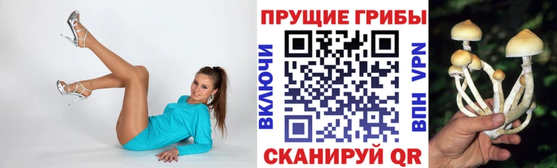 сколько стоит  Аткарск  Псилоцибиновые грибы GOLDEN TEACHER 